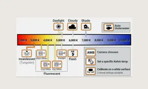 Diagram balansu bieli pokazuje, jak różne źródła światła wpływają na kolor. Od ciepłego, pomarańczowego światła żarówki (2000K) po zimne, niebieskie światło (10000K), każdy odcień ma swój odpowiednik. Biały kolor jest kluczowy dla prawidłowego odwzorow...