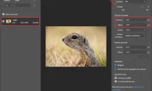 Jak zapisać zdjęcie z Photoshopa w JPG i uniknąć problemów z jakością