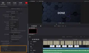 Ustawienia eksportu w DaVinci Resolve po polsku: zaznaczono "Export Subtitle" i wybrano "Burn into video".