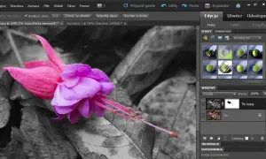 Jak zmienić kolor czarny na biały w Photoshopie – proste metody i porady