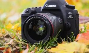 Canon EOS 5D Mark IV z obiektywem 35mm f/1.4 na tle jesiennych liści. Idealny sprzęt do uchwycenia piękna przyrody.