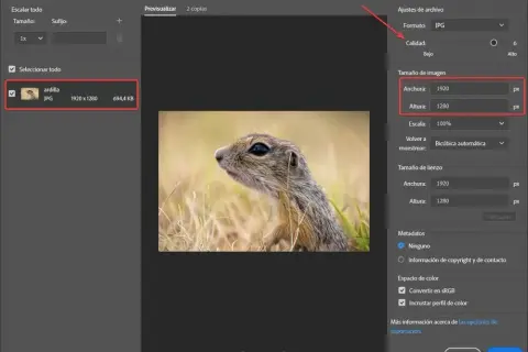 Jak zapisać zdjęcie z Photoshopa w JPG i uniknąć problemów z jakością