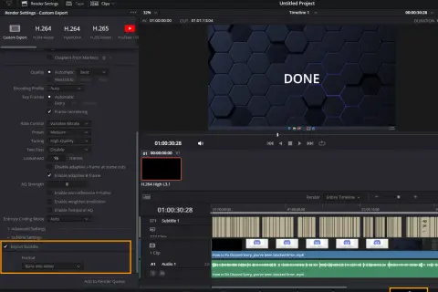 Ustawienia eksportu w DaVinci Resolve po polsku: zaznaczono "Export Subtitle" i wybrano "Burn into video".