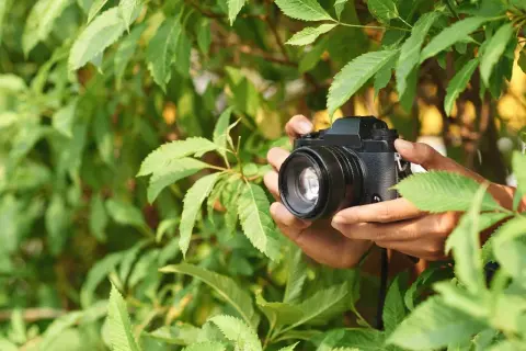 Jak wybrać najlepszą jasność obiektywu dla Twojej fotografii?