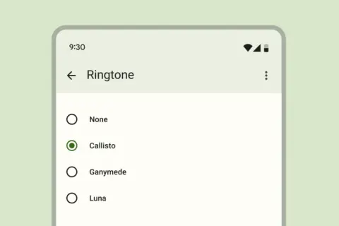 Ekran telefonu z listą dzwonków. Zaznaczony radio button przy "Callisto".
