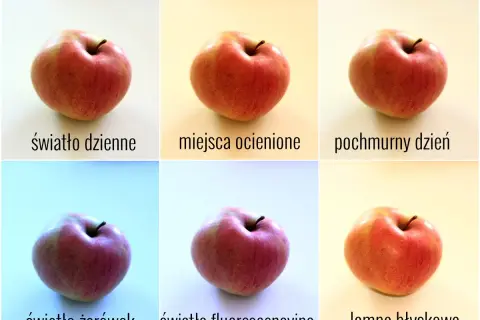 Jabłka w różnych warunkach oświetleniowych. Różnice w kolorze i cieniach pokazują, jak światło wpływa na współczynnik załamania światła i odbicie.