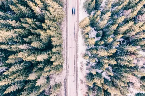 Droga przez zimowy las, tworząca kompozycję diagonalną. Widać rozmyty samochód i pojedyncze drzewa.
