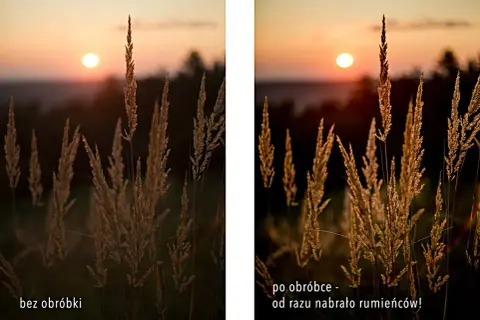 Zachód słońca nad polami traw. Po obróbce zdjęcie nabrało ciepłych barw, jakby czas się zatrzymał.