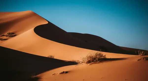 Pustynne wydmy tworzą dynamiczną, asymetryczną kompozycję. Słońce rzuca długie cienie, podkreślając łagodne linie piasku i nieliczne kępy traw.