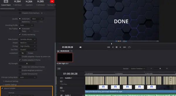 Ustawienia eksportu w DaVinci Resolve po polsku: zaznaczono "Export Subtitle" i wybrano "Burn into video".