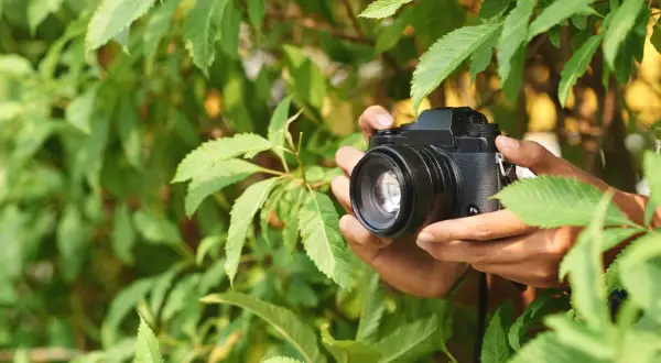 Jak wybrać najlepszą jasność obiektywu dla Twojej fotografii?