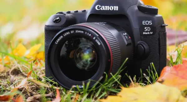 Canon EOS 5D Mark IV z obiektywem 35mm f/1.4 na tle jesiennych liści. Idealny sprzęt do uchwycenia piękna przyrody.