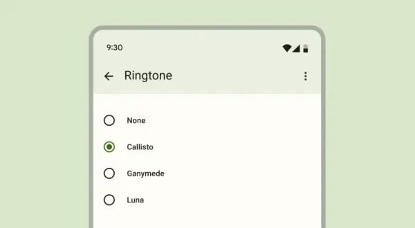 Ekran telefonu z listą dzwonków. Zaznaczony radio button przy "Callisto".