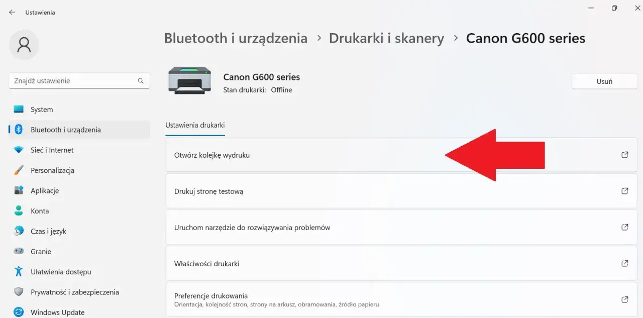 Drukarka Canon G600 series nie drukuje, stan Offline. W ustawieniach drukarki można otworzyć kolejkę wydruku lub uruchomić narzędzie do rozwiązywania problemów.