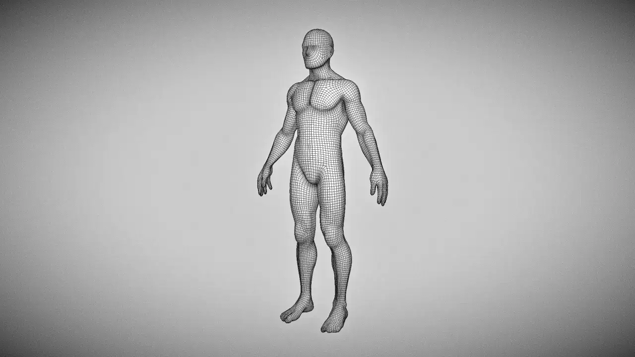 Szkielet 3D męskiego obj. z siatką poligonalną, gotowy do animacji lub modelowania.