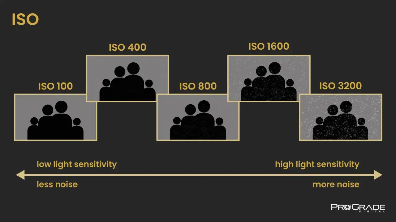 ISO to czułość matrycy. Im wyższe ISO, tym większa ziarnistość i wrażliwość na światło. Zobacz, jak ISO 100 vs ISO 3200 wpływa na obraz.