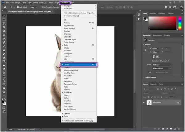 Zdjęcie Jak zapisać obraz bez tła w Photoshopie i uniknąć błędów