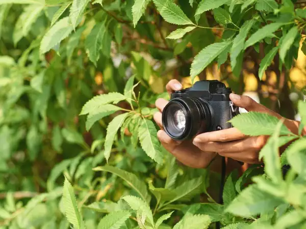 Jak wybrać najlepszą jasność obiektywu dla Twojej fotografii?