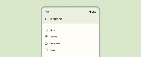Ekran telefonu z listą dzwonków. Zaznaczony radio button przy "Callisto".