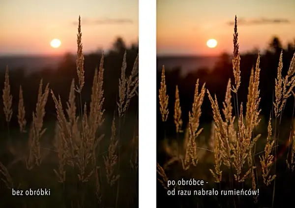 Zachód słońca nad polami traw. Po obróbce zdjęcie nabrało ciepłych barw, jakby czas się zatrzymał.